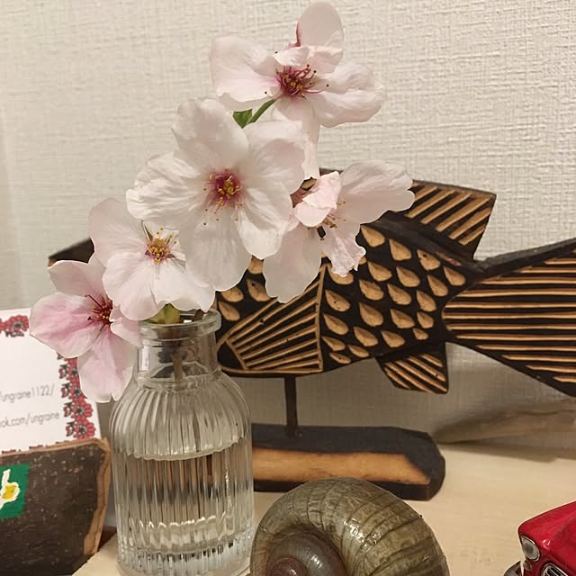 Ryokoさんの実例写真