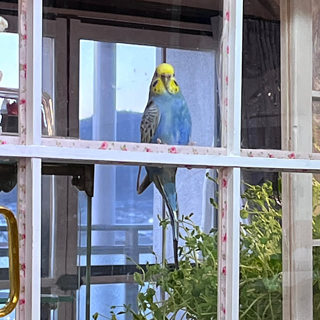 Atsukoさんの部屋