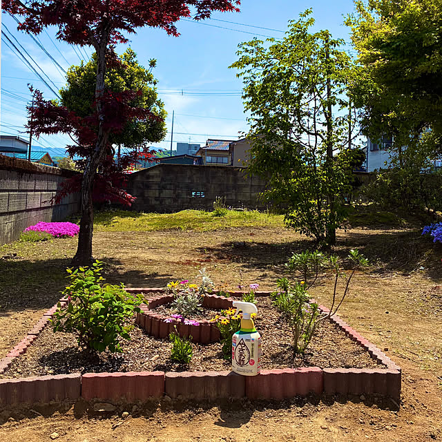 Fleur_さんの実例写真