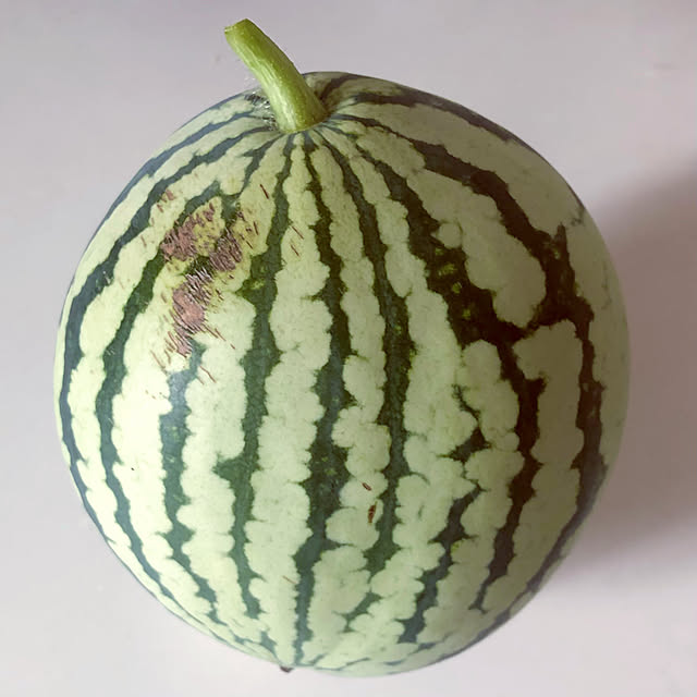 tomoさんの実例写真
