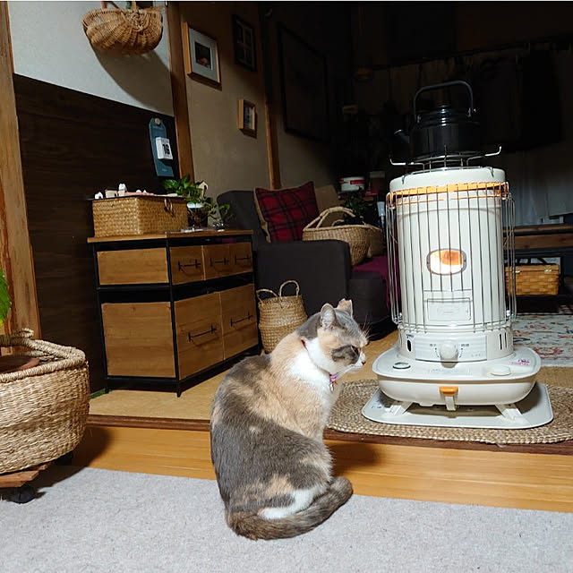 fukuさんの実例写真