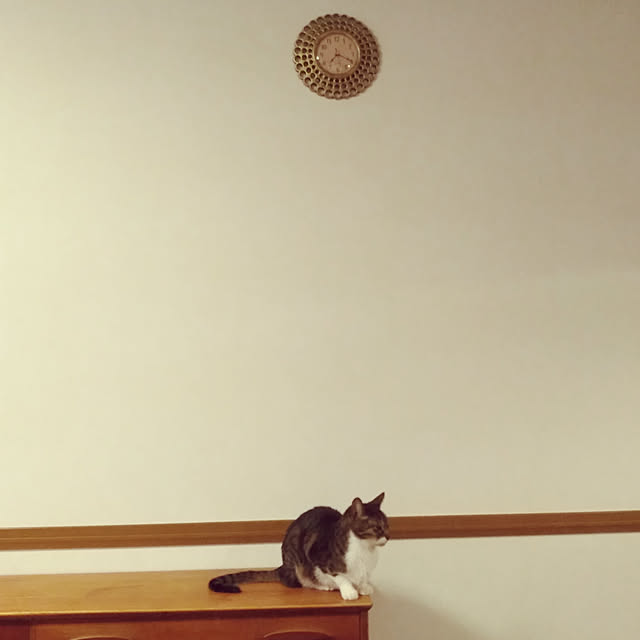 sweetdreamさんの実例写真