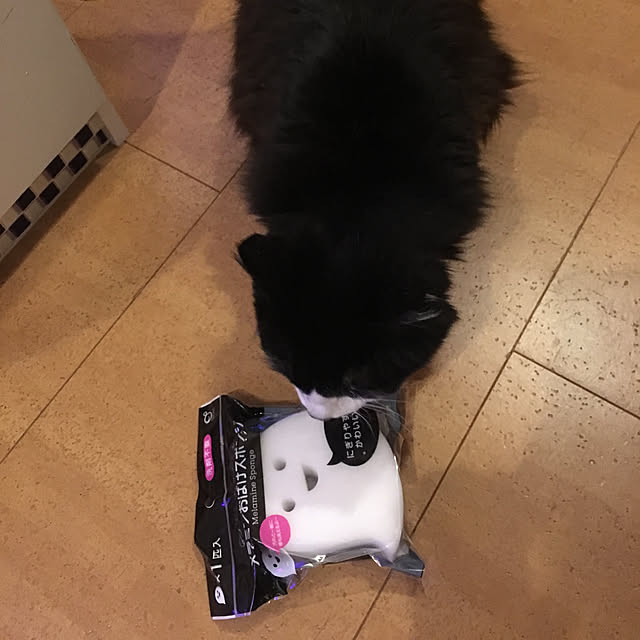 kanaさんの実例写真