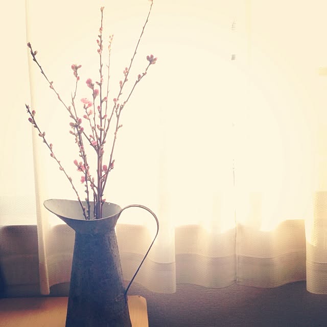 部屋全体/植物/雑貨のインテリア実例 - 2014-02-24 19:07:48