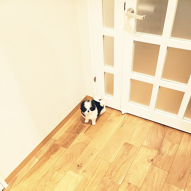 sanoaさんの実例写真