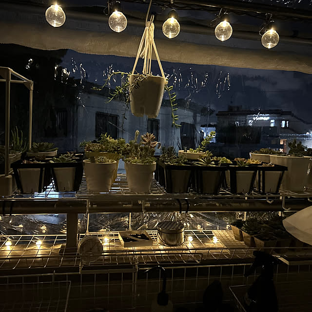 Mさんの実例写真