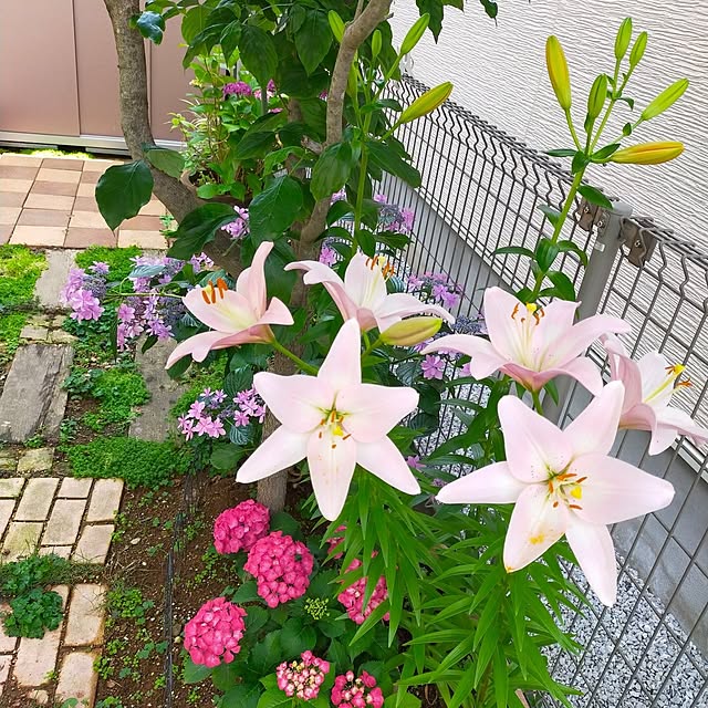 ayaさんの実例写真