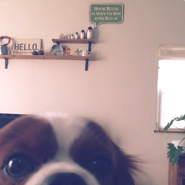 miyaさんの実例写真
