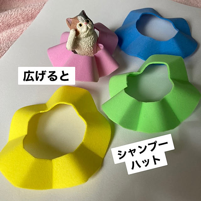 manduonmaさんの部屋