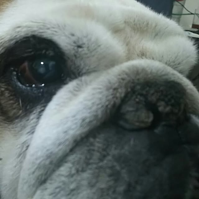 AandPさんの実例写真