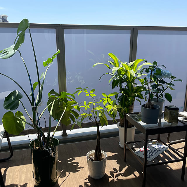 Hyumaさんの実例写真