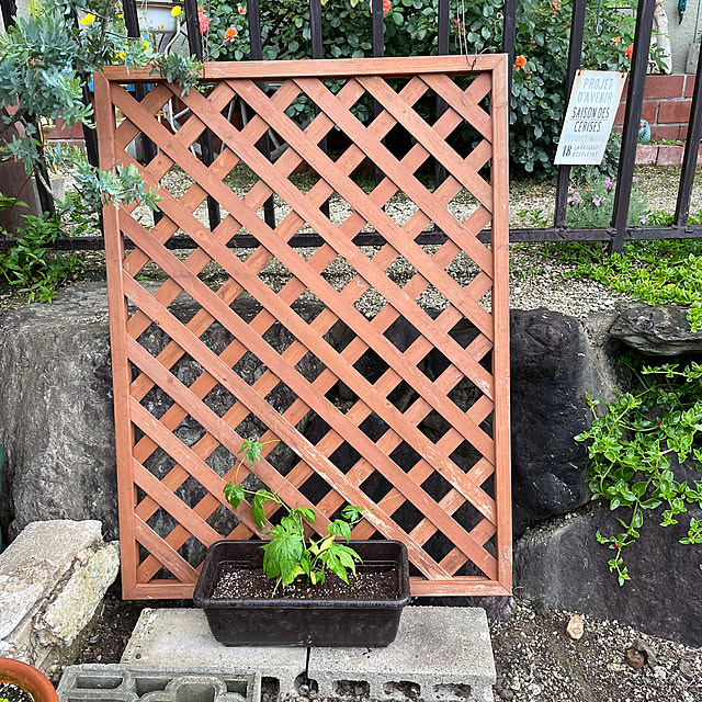 shin0719さんの実例写真