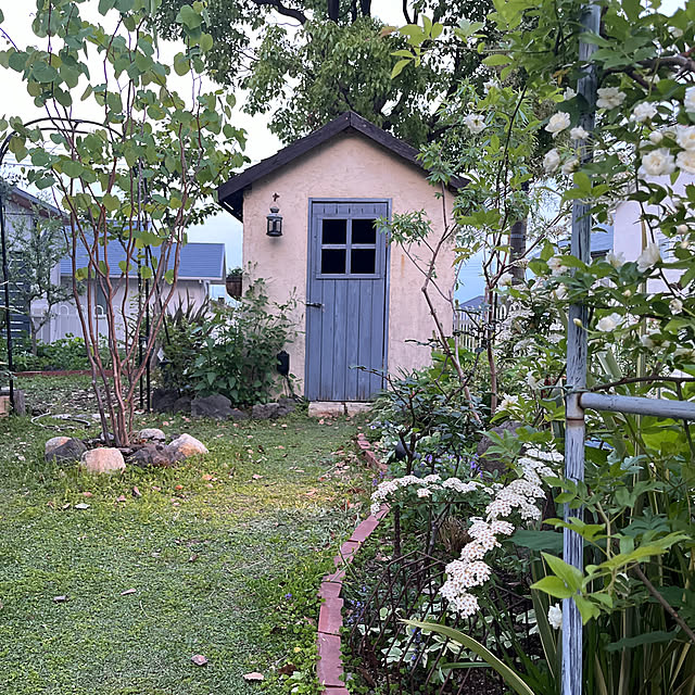 vol.3638写真