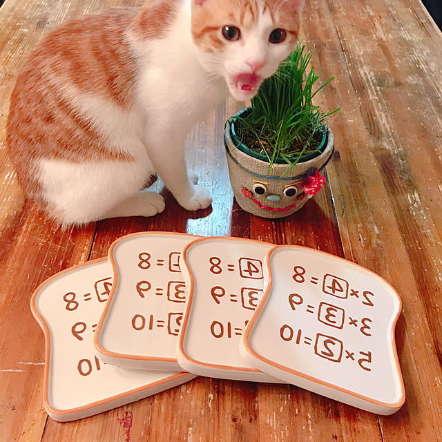 meさんの実例写真