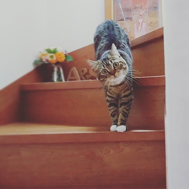 mochicoさんの実例写真