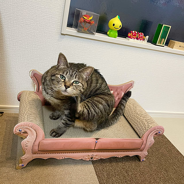 Shinさんの実例写真