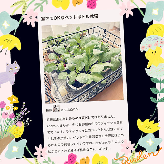 enotasoさんの実例写真