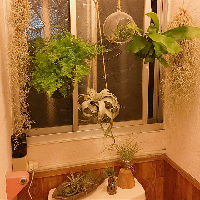 sato5さんの実例写真