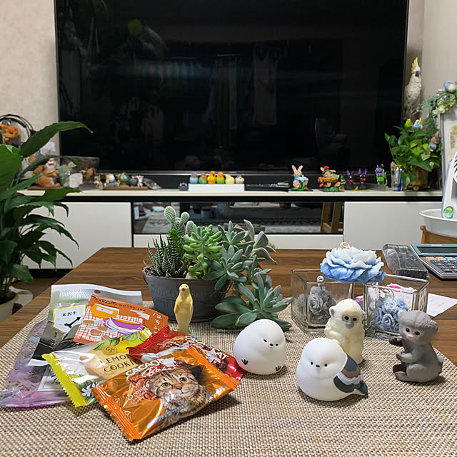 Aqettyさんの部屋