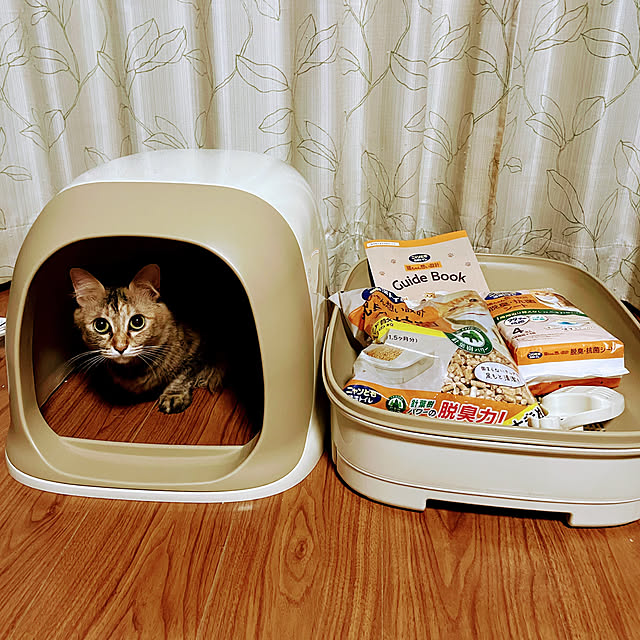 kikurinさんの部屋