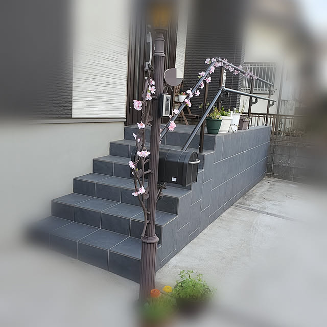 totoroさんの実例写真