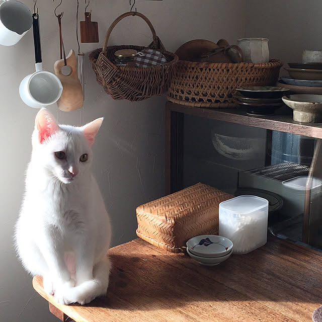 zuiiさんの実例写真