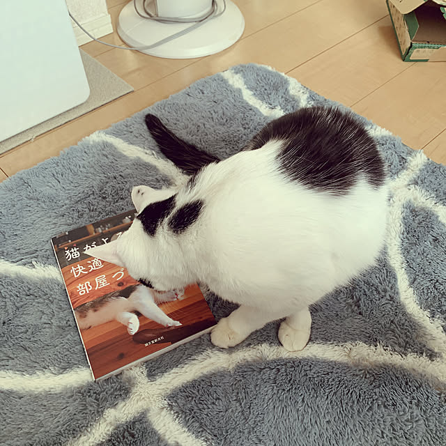 Yukikoさんの実例写真