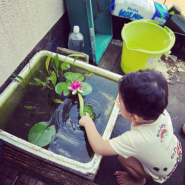 lalaさんの実例写真