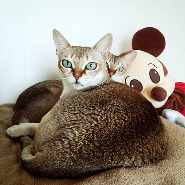 Jcさんの実例写真