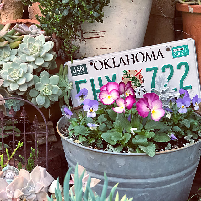 aokkoさんの実例写真