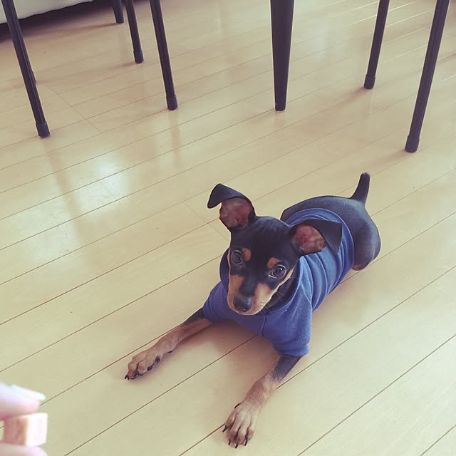 Hitomiさんの実例写真