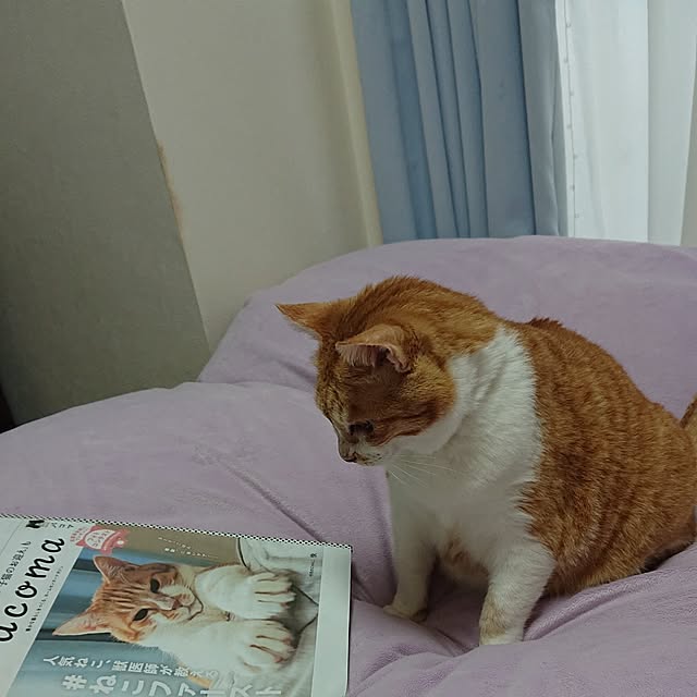 NOAHさんの実例写真