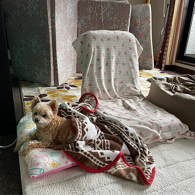 kikiさんの部屋