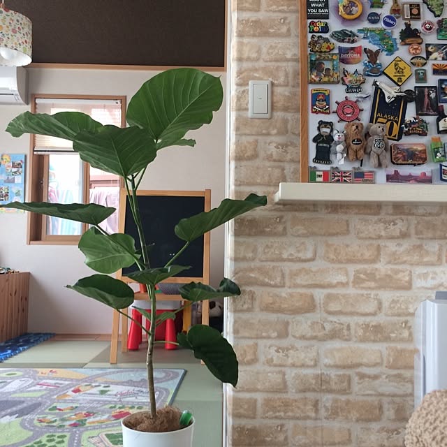 karinさんの実例写真