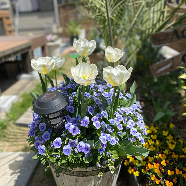 HelloKitchenさんの実例写真