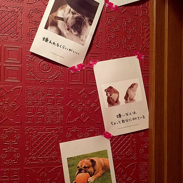 butachanさんの実例写真