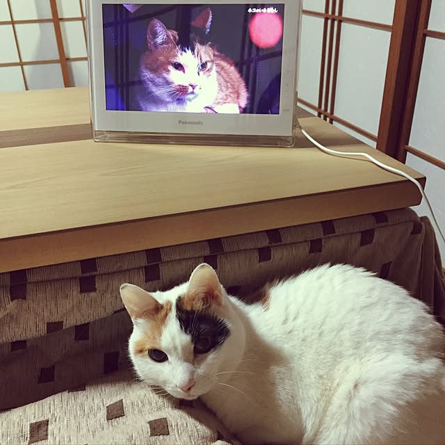 yocchiさんの実例写真