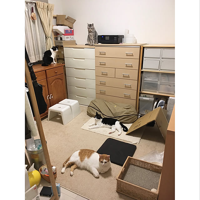 bikkeさんの実例写真