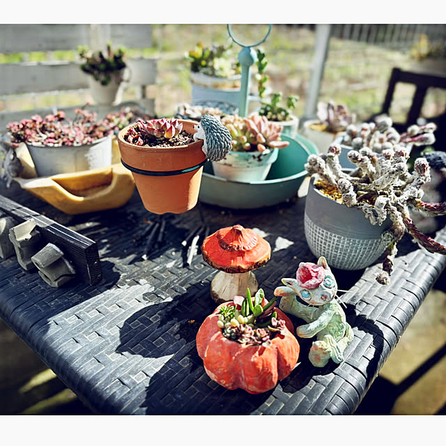 CoCo0617さんの部屋