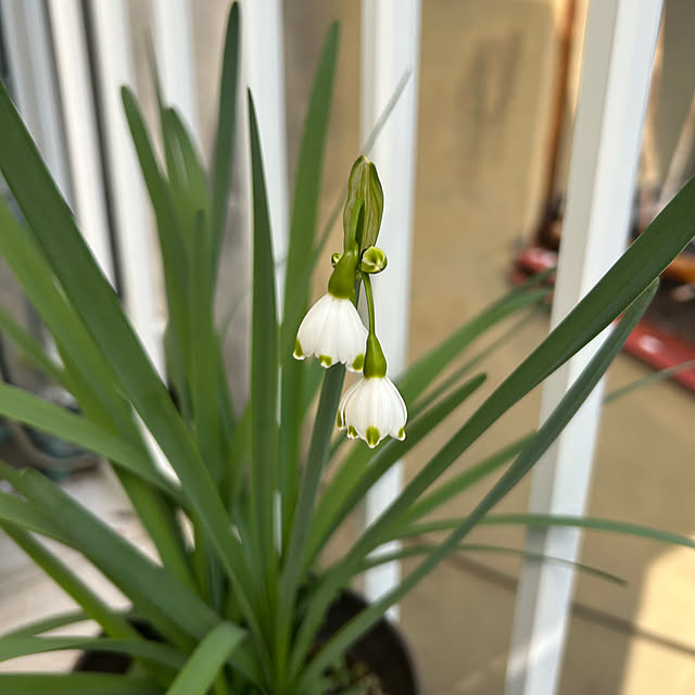 fumikoiさんの部屋