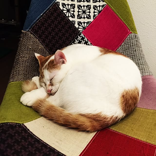 minkokoさんの実例写真