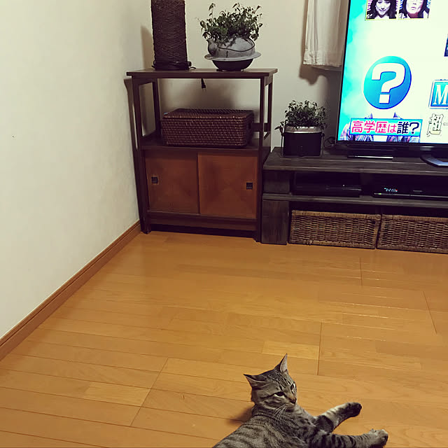 mikan161さんの実例写真