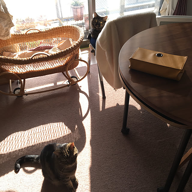 mikomaruさんの実例写真