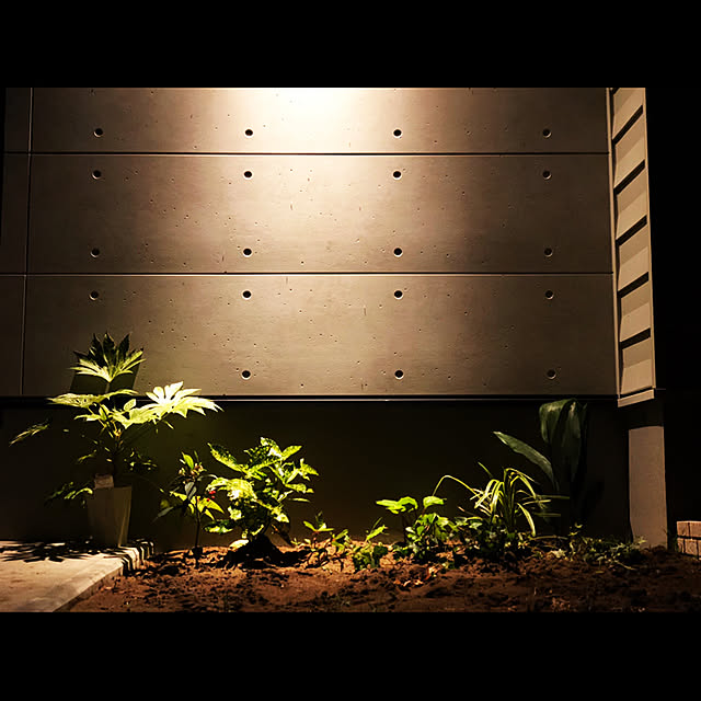 ガーデニング/花のある暮らし/観葉植物/玄関/入り口のインテリア実例 - 2020-06-12 20:36:04