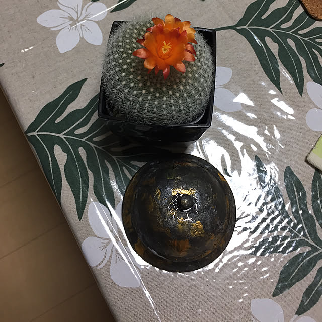 emiさんの実例写真