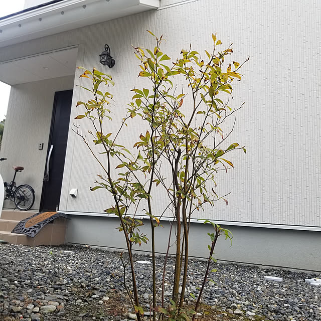 shimaaadsさんの実例写真