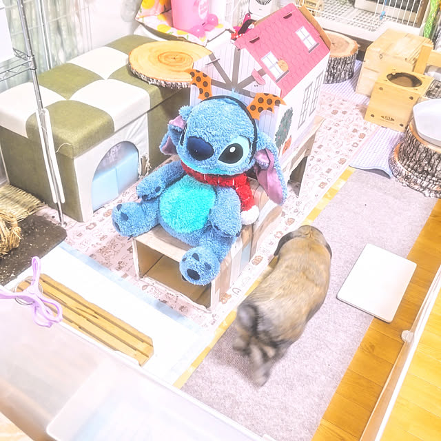 mariaさんの実例写真