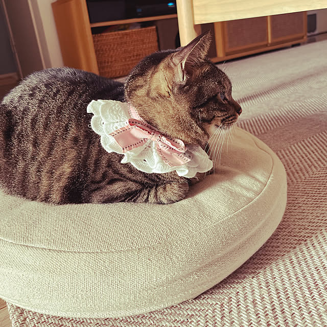 masamasaさんの部屋
