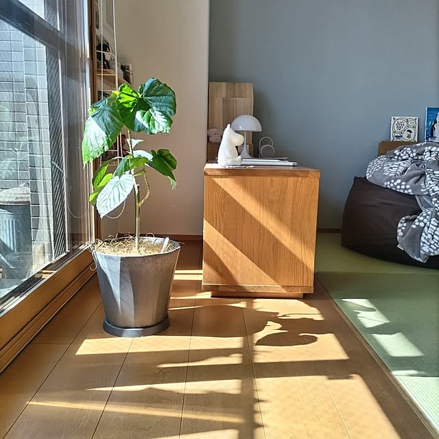 sakiさんの実例写真