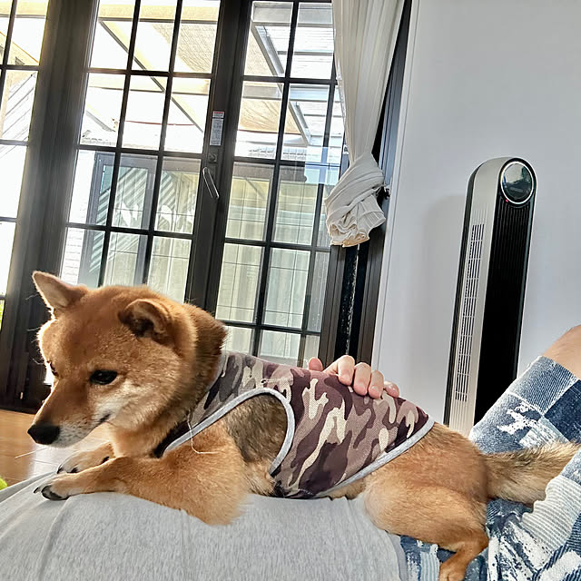 kenzさんの部屋